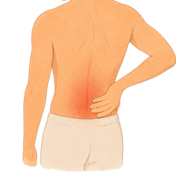 Illustration – Dos et sacrum